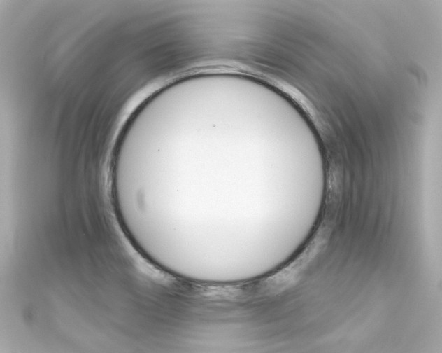X0000111591466200907161143