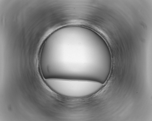 X0000111591467200907161143