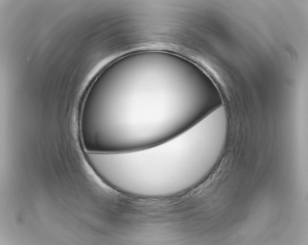 X0000111591468200907161143