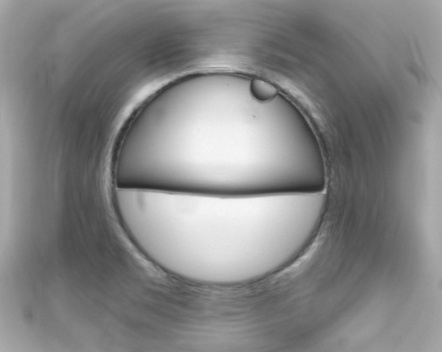 X0000111591469200907161143