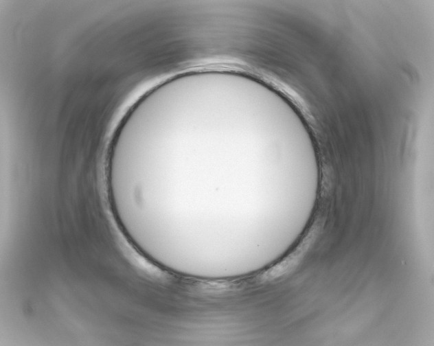 X0000111591470200907161143