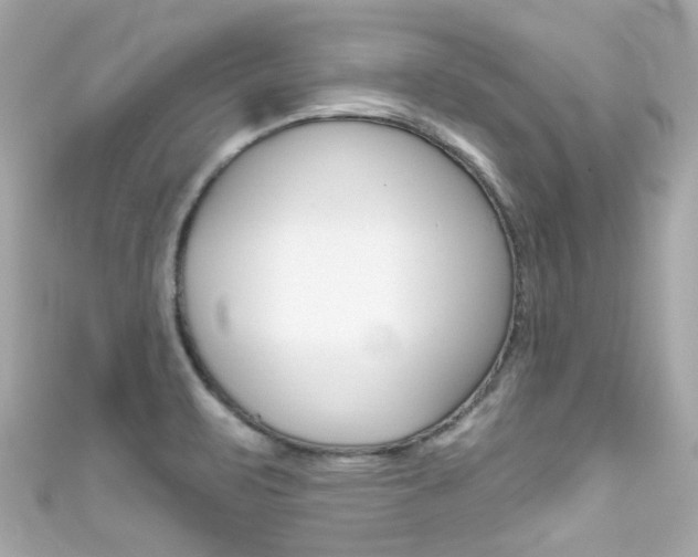 X0000111591471200907161143