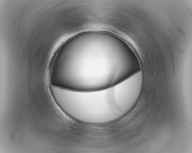 X0000111591472200907161143