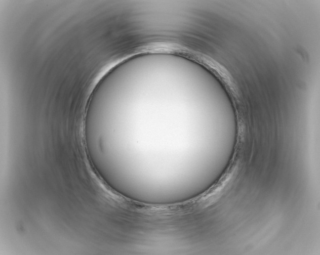 X0000111591473200907161143
