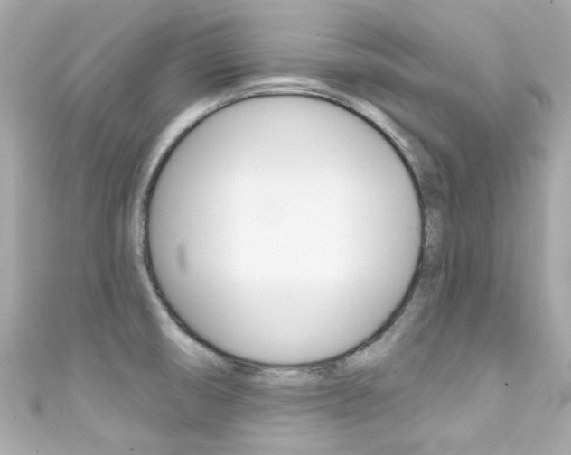 X0000111591474200907161143
