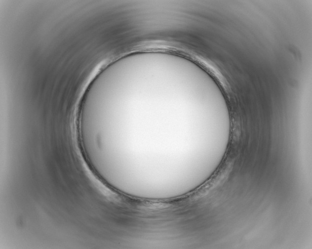 X0000111591475200907161143