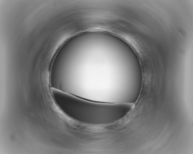 X0000111591476200907161143