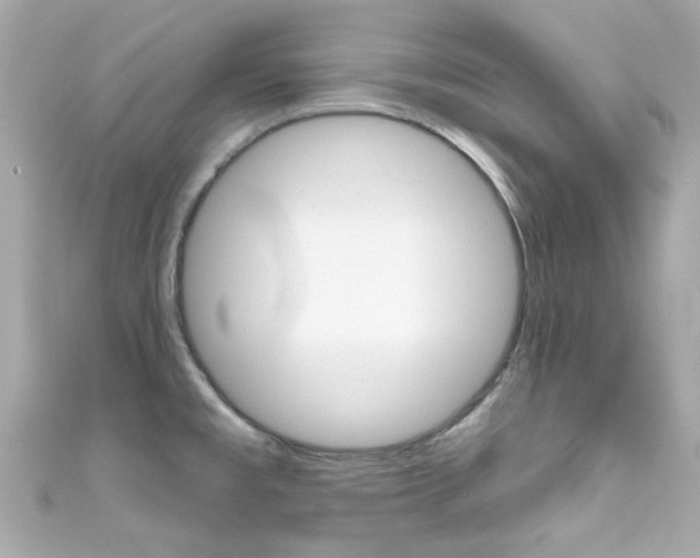 X0000111591477200907161143