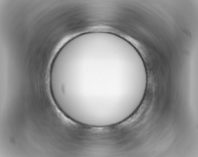 X0000111591478200907161143