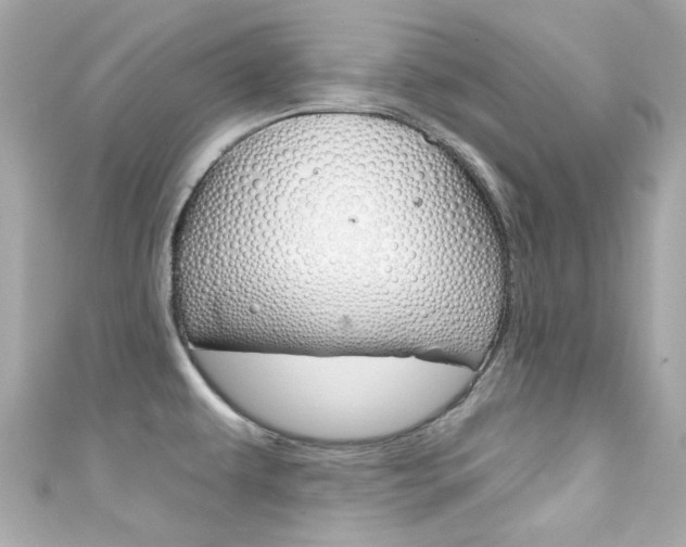 X0000111591479200907161143