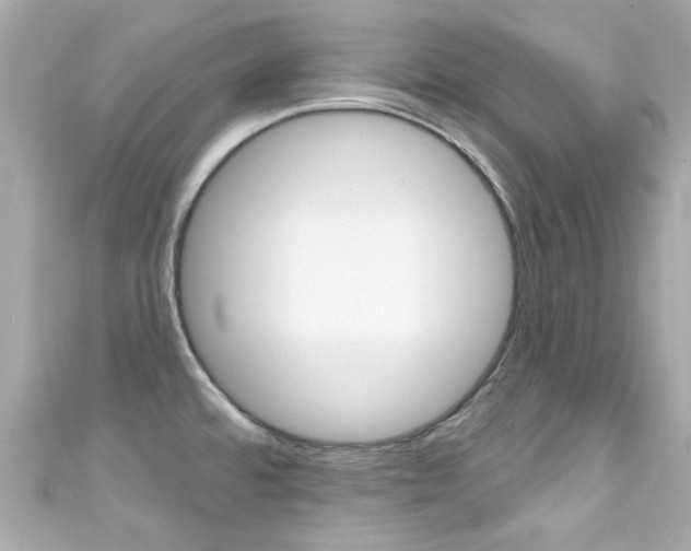 X0000111591480200907161143