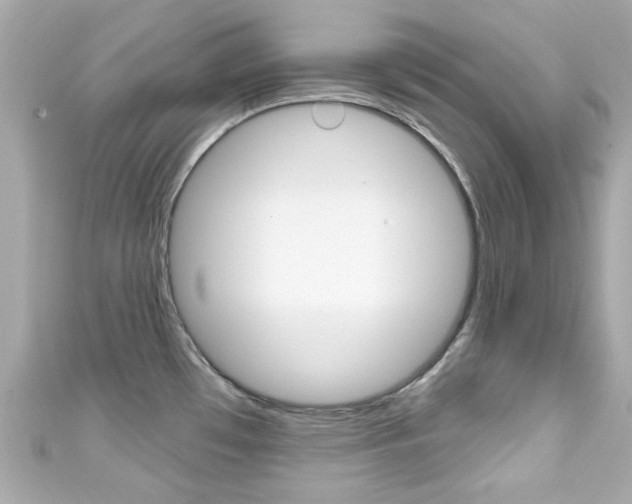X0000111591481200907161143
