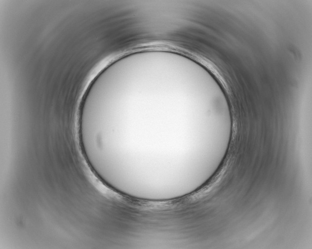 X0000111591482200907161143