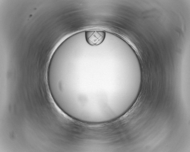 X0000111591484200907161143