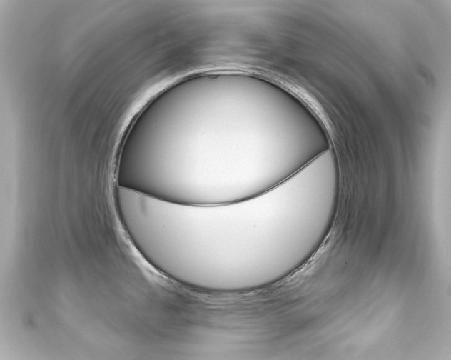 X0000111591485200907161143