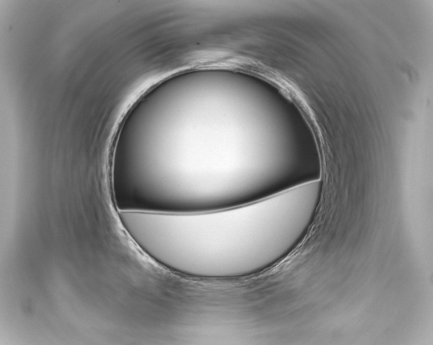 X0000111591488200907161143