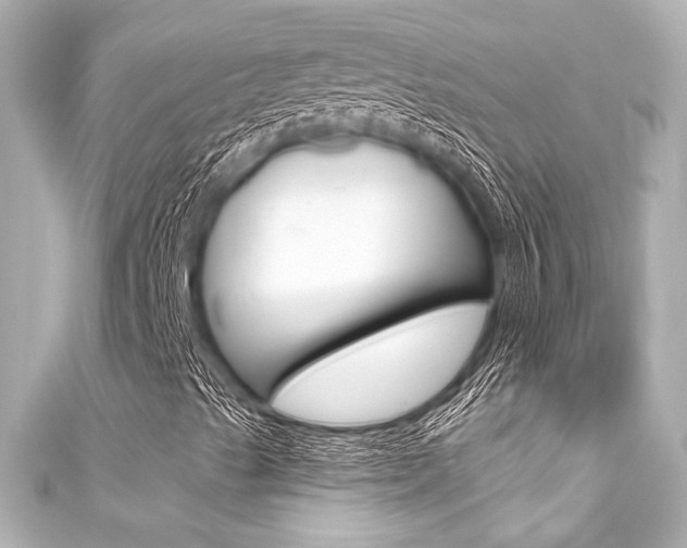 X0000111591489200907161142