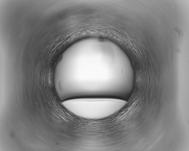 X0000111591490200907161142