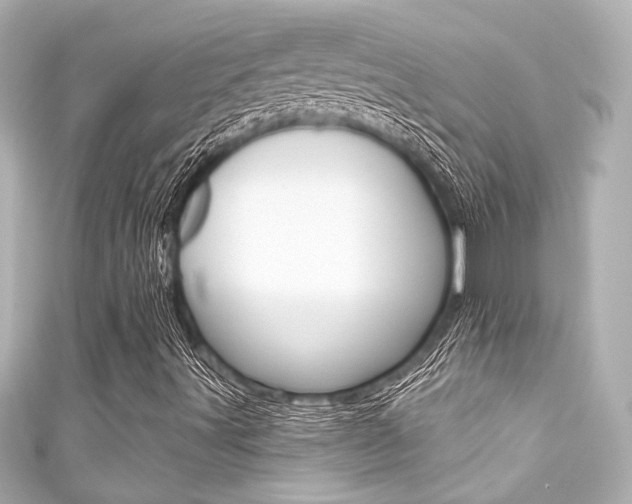 X0000111591491200907161142