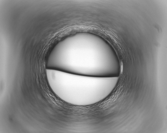 X0000111591492200907161142
