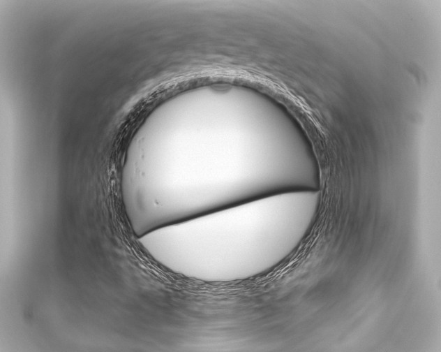 X0000111591495200907161142