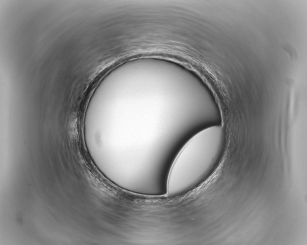 X0000111591497200907161142