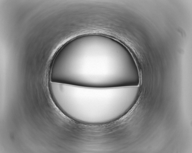 X0000111591500200907161142
