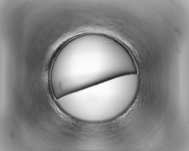 X0000111591503200907161142