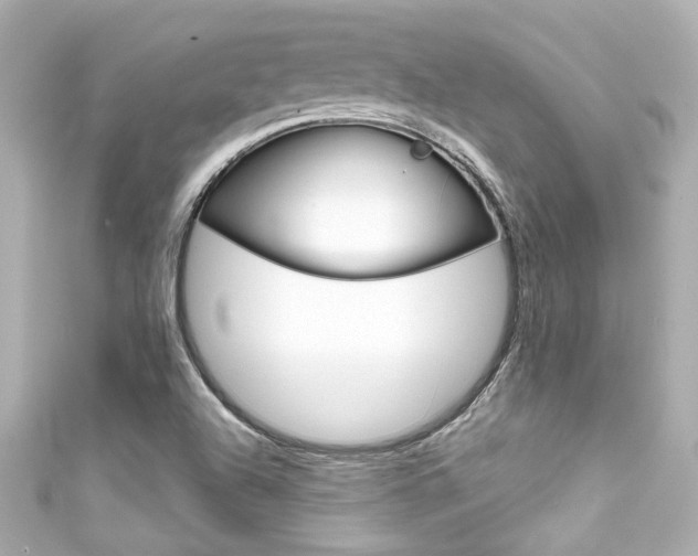 X0000111591504200907161142