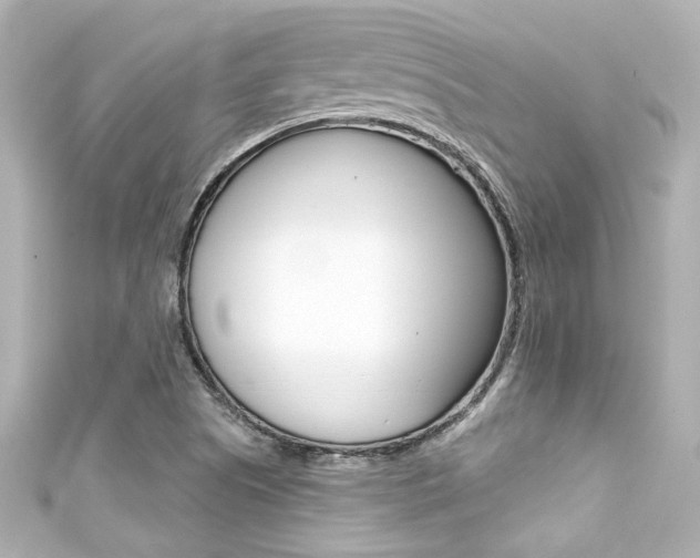 X0000111591505200907161142