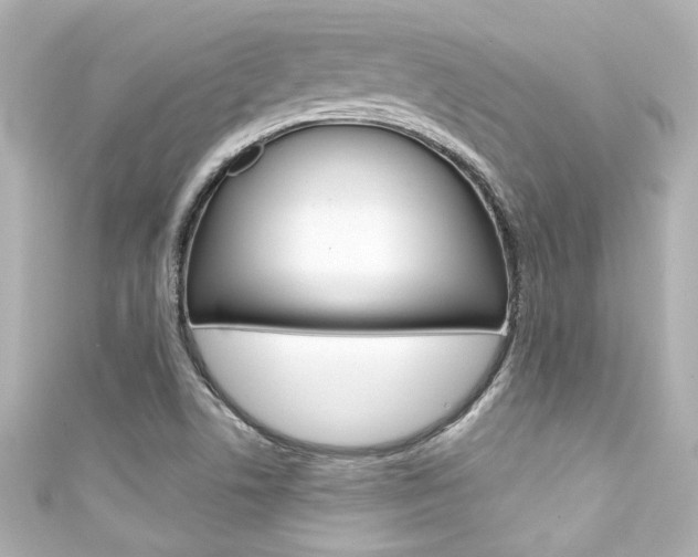 X0000111591506200907161142