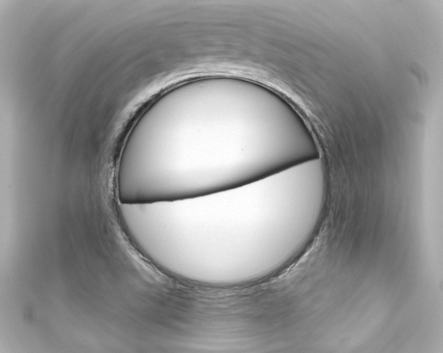 X0000111591507200907161142