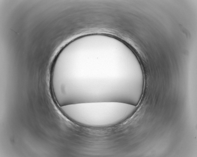 X0000111591508200907161142