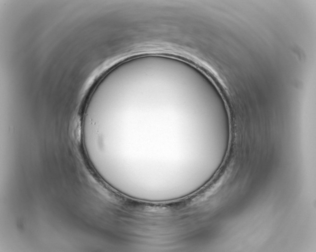 X0000111591509200907161142
