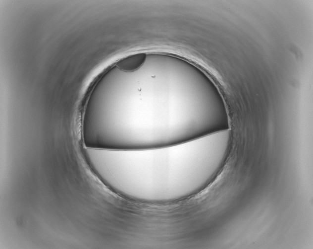 X0000111591510200907161142