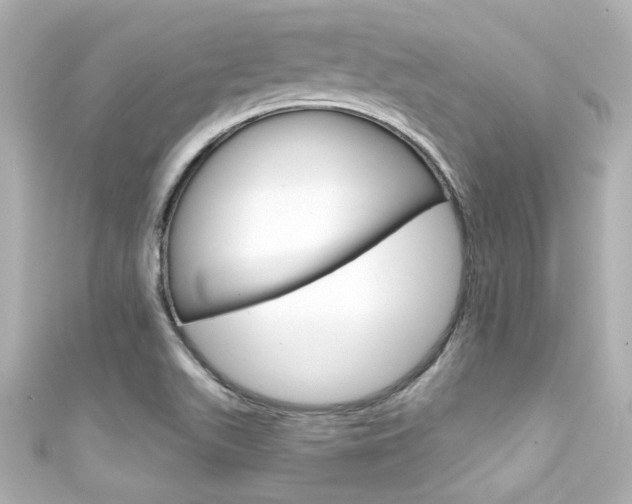 X0000111591511200907161142