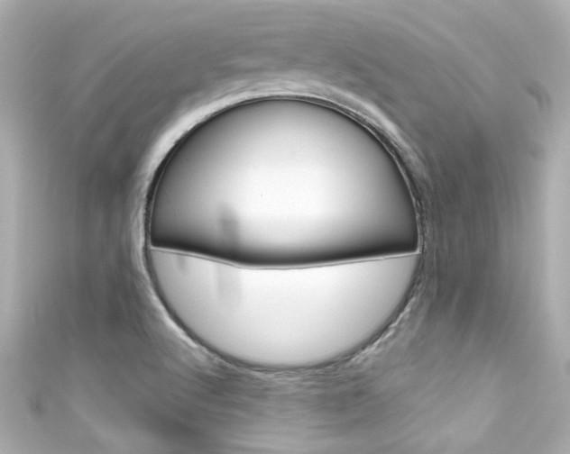 X0000111591512200907161142