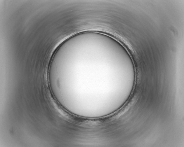 X0000111591513200907161142