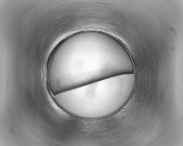 X0000111591515200907161142