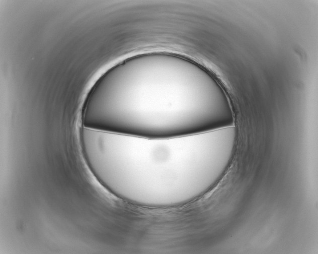 X0000111591516200907161142