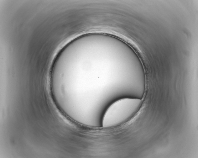 X0000111591517200907161142