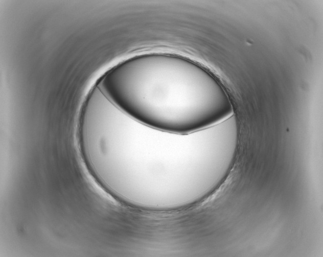 X0000111591518200907161142