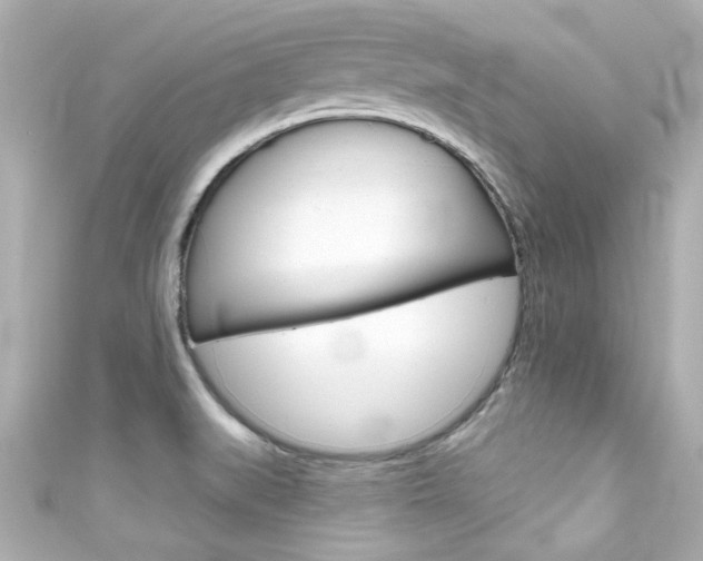 X0000111591519200907161143