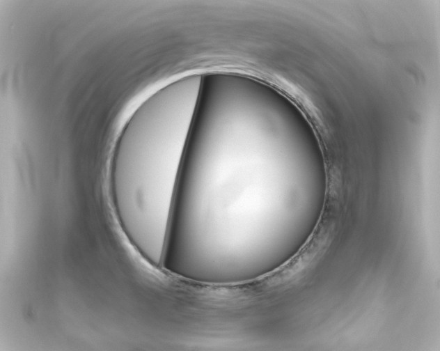 X0000111591520200907161143