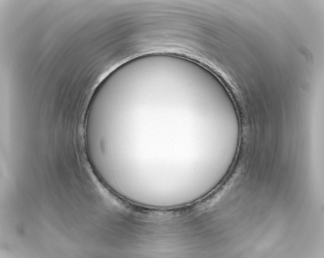 X0000111591521200907161143