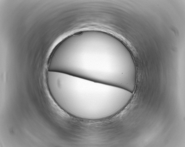 X0000111591522200907161143