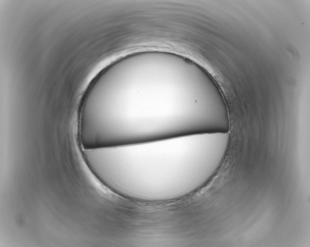 X0000111591523200907161143