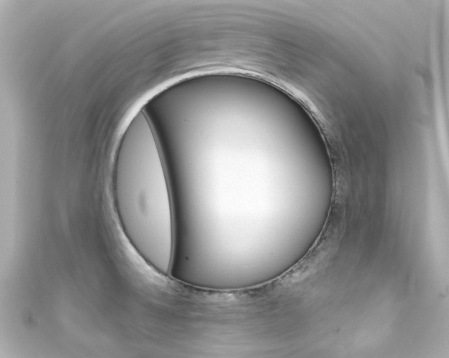 X0000111591524200907161143
