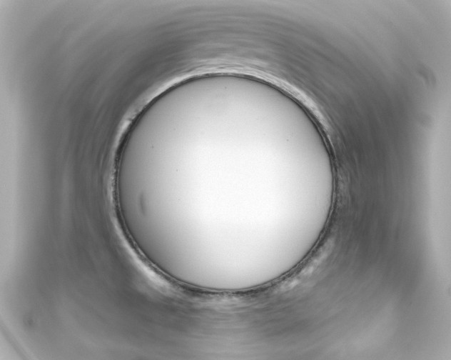 X0000111591525200907161143