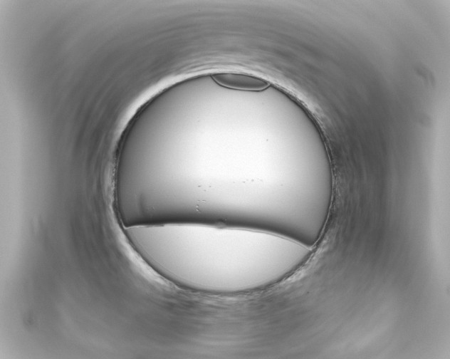 X0000111591526200907161143